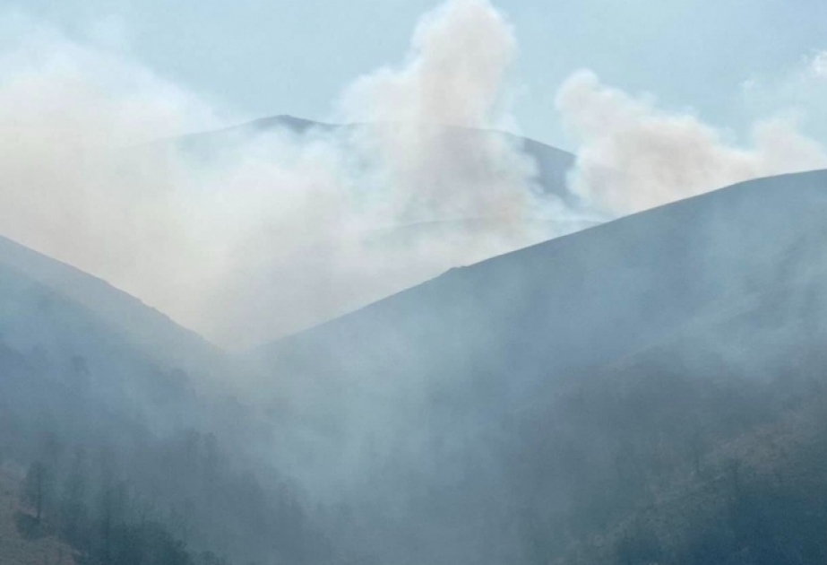 Se produjo un incendio en el territorio fronterizo con Armenia