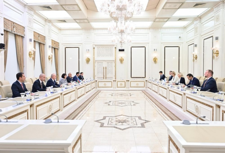Milli Məclisin sədri ATƏT Parlament Assambleyasının prezidenti ilə görüşüb