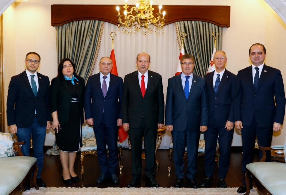 Şimali Kipr Türk Cümhuriyyətinin Prezidenti YAP nümayəndə heyətini qəbul edib