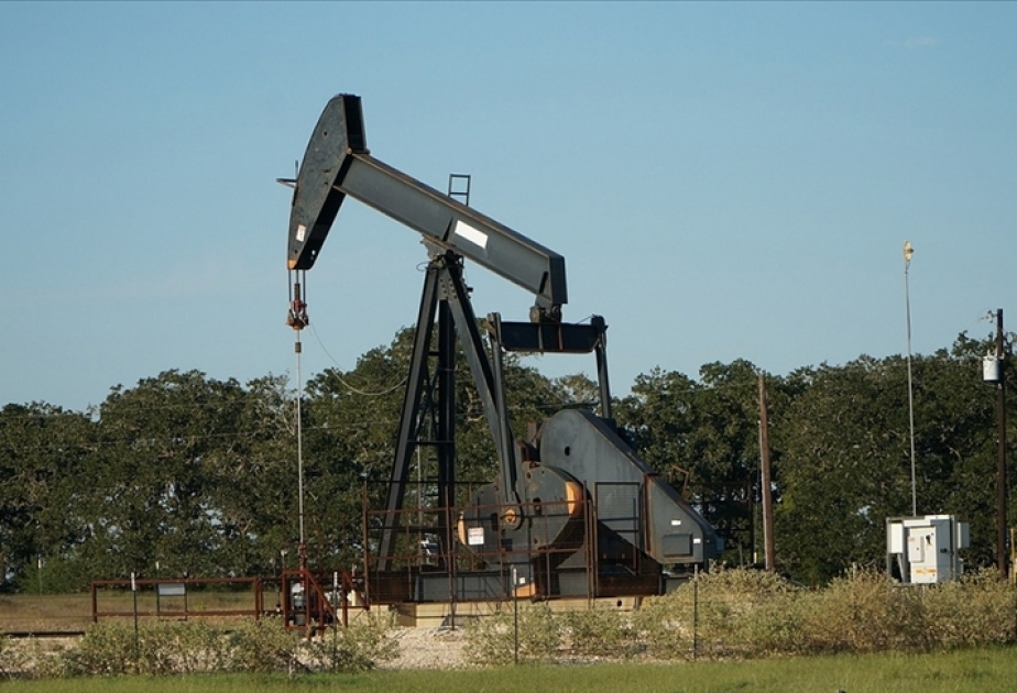 IEA: Gələn il qlobal neft tələbatının azalacağı proqnozlaşdırılır