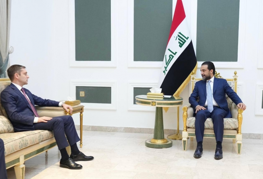 Azerbaijan, Iraq mull prospects for inter-parliamentary relations