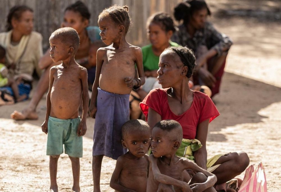 Weltweit leiden 800 Millionen Menschen unter chronischem Hunger