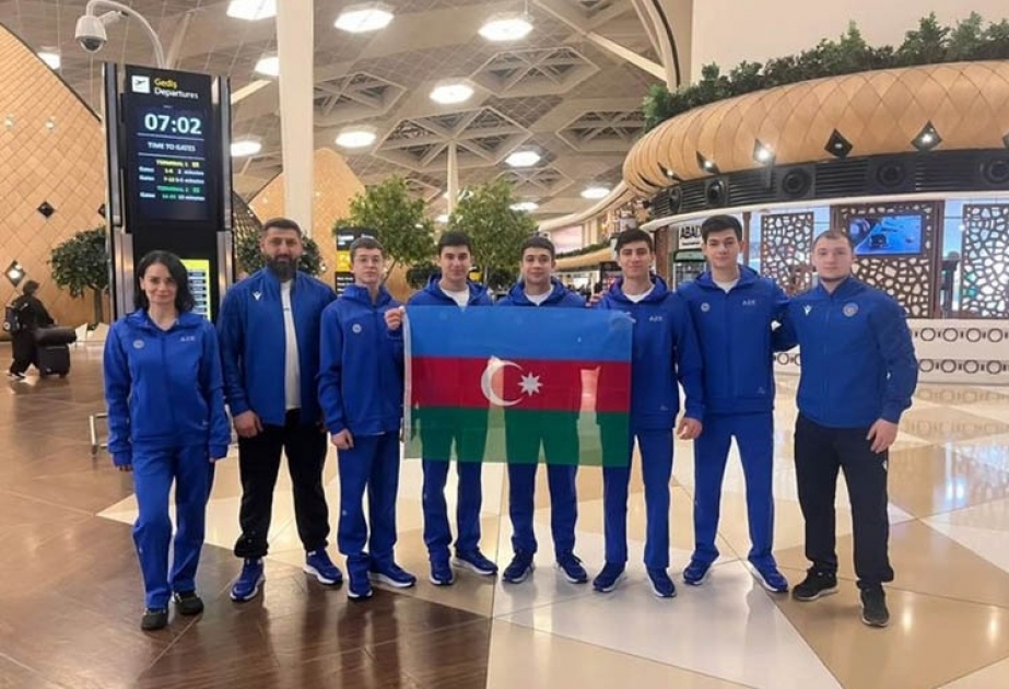 Aserbaidschanische Turner nehmen an mitteleuropäischer Meisterschaft Team-Turnen in Italien teil