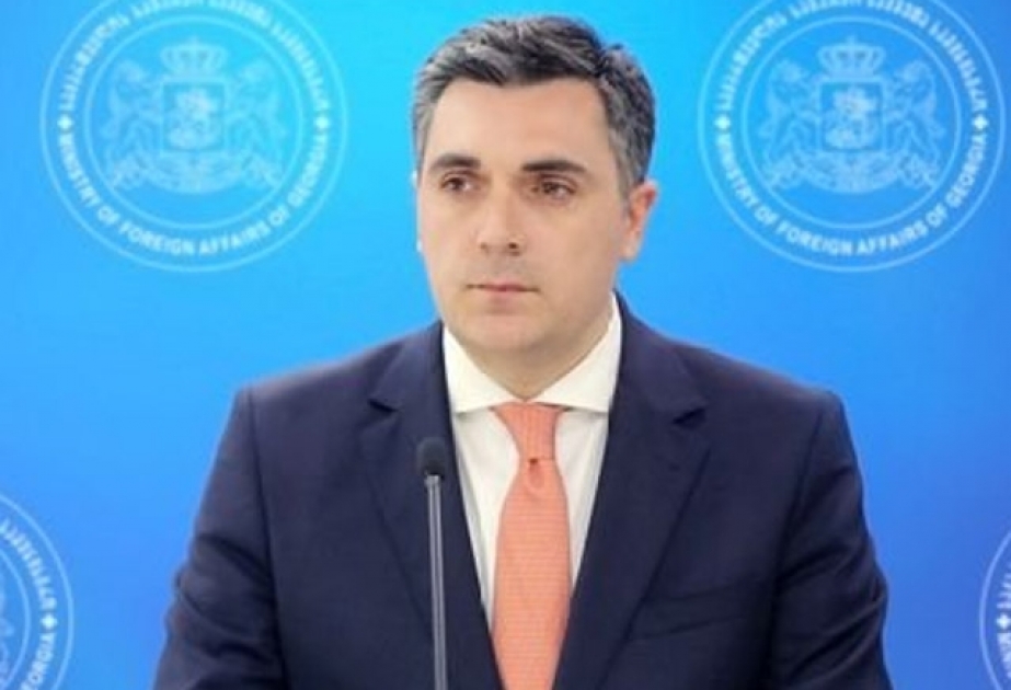 Gürcüstanın xarici işlər naziri: Əsas məqsədimiz regionda sülhü və sabitliyi təmin etməkdir