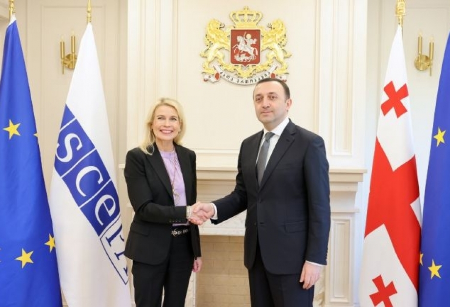 Gürcüstanın Baş naziri və ATƏT PA-nın prezidenti regiondakı vəziyyəti müzakirə ediblər