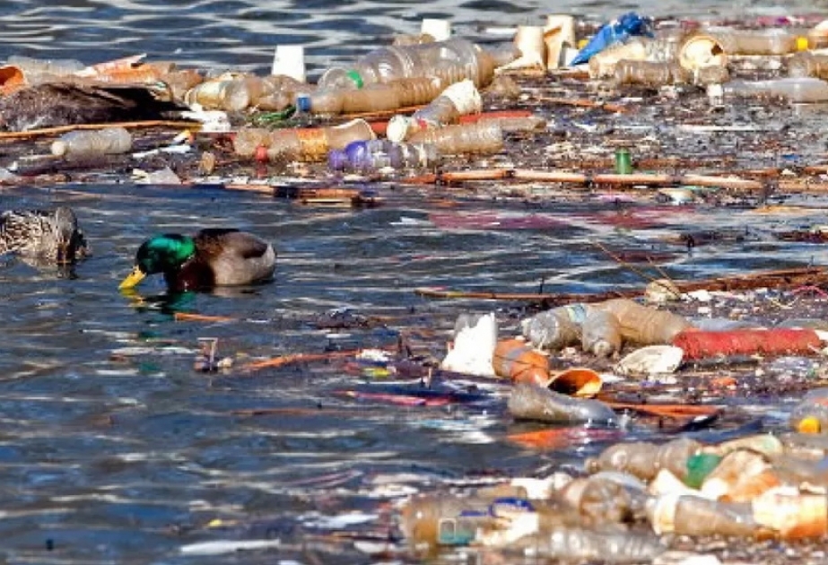 Штат Нью-Йорк подал в суд на PepsiCo из-за загрязнения реки пластиком
