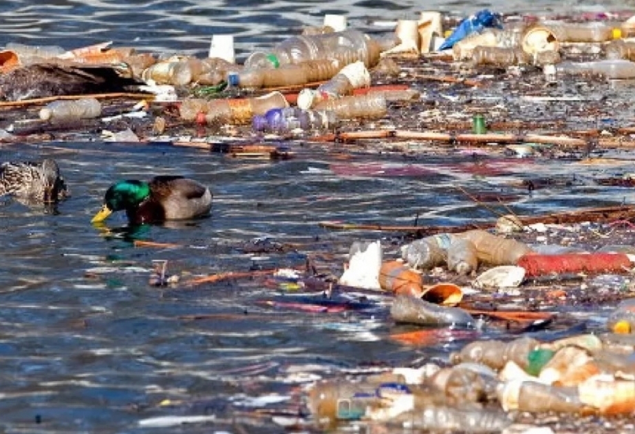 Nueva York demanda a PepsiCo por contaminación plástica