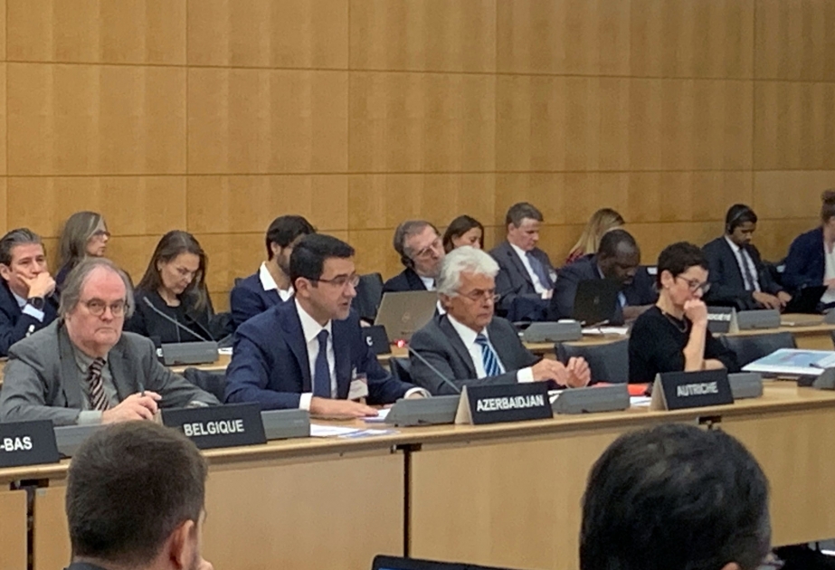 En el acto internacional se ofrece información sobre la política activa de Azerbaiyán como nuevo país donante
