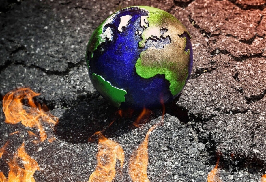 Deutsche Klimabeauftragte: “100-Milliarden-Dollar-Ziel für globalen Klimaschutz erreicht“