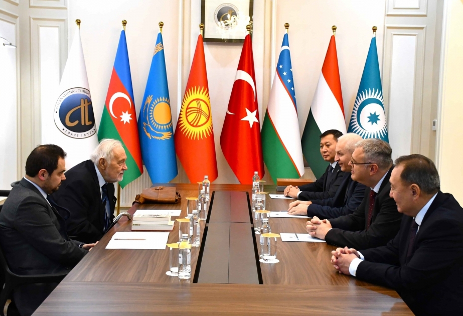 Azerbaijan, Türkiye discuss cooperation in science, preservation of cultural and historical heritage