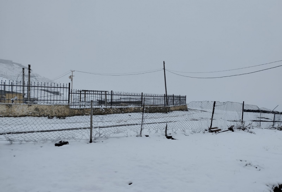 库巴和库萨雷降雪