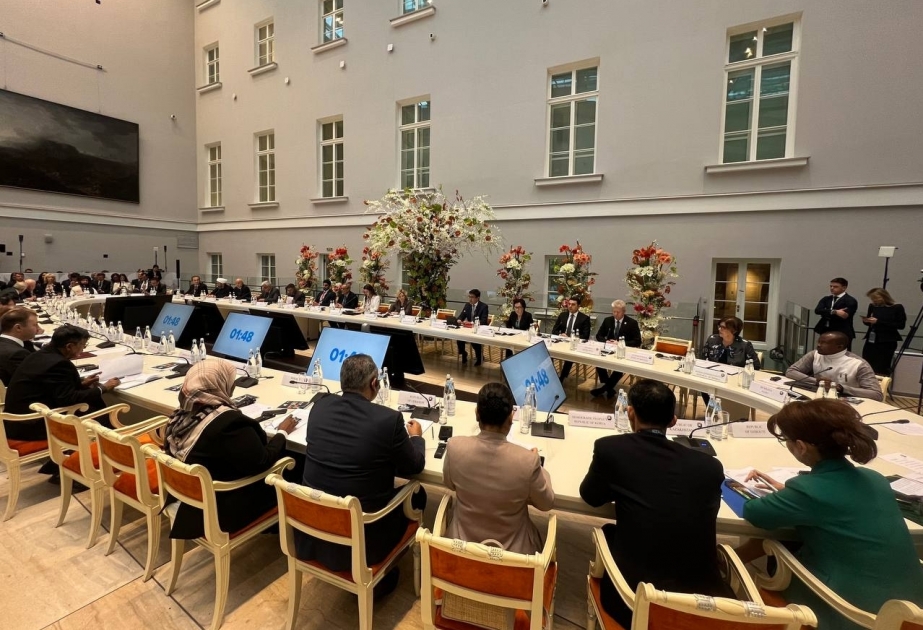 Azerbaijani culture minister addresses plenary session of 9th St. Petersburg International Cultural Forum