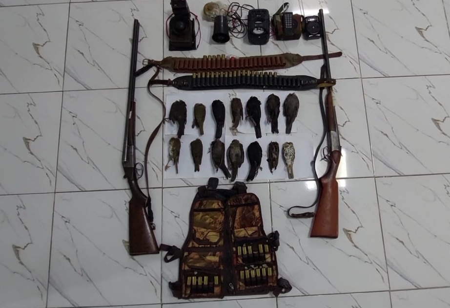 Astarada ağaclara tor qurmaqla qanunsuz ov edən şəxslər aşkarlanıb  VİDEO