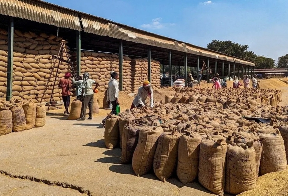 India seen keeping rice export bans into 2024, holding up global prices