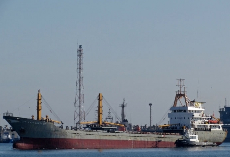 1 crew dead and 11 are missing after a Turkish cargo ship sinks in Black Sea in severe storms