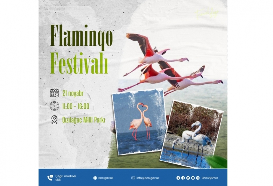 Qızılağac Milli Parkında “Flaminqo festivalı” keçiriləcək