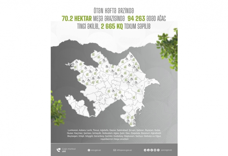 На прошлой неделе было посажено более 94 тысяч саженцев деревьев