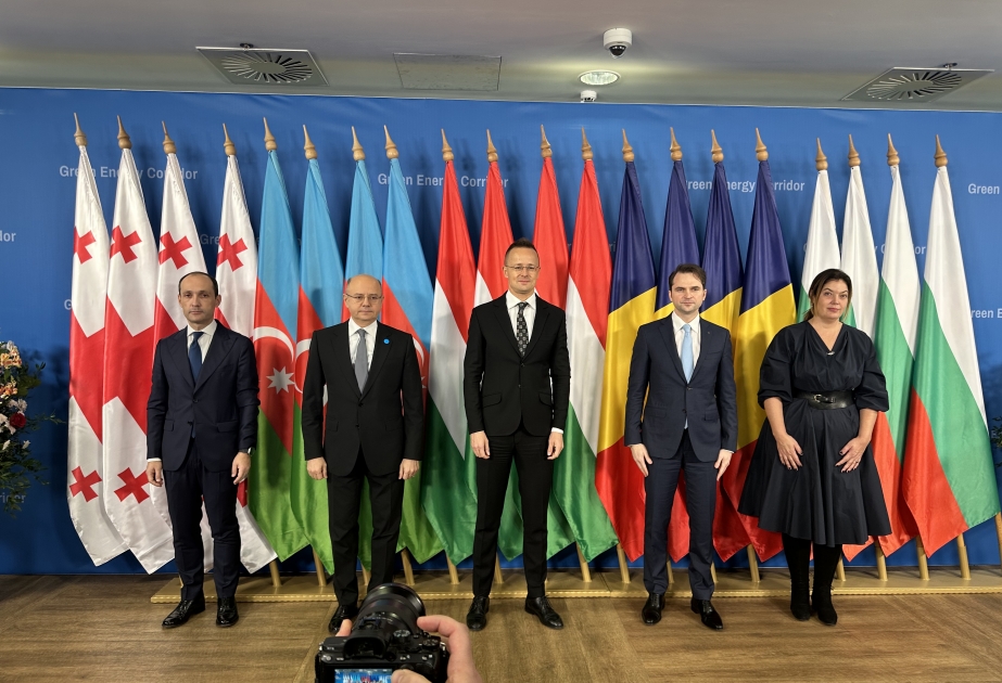 Azərbaycan, Gürcüstan, Rumıniya və Macarıstan “yaşıl enerji platforması” yaradacaq