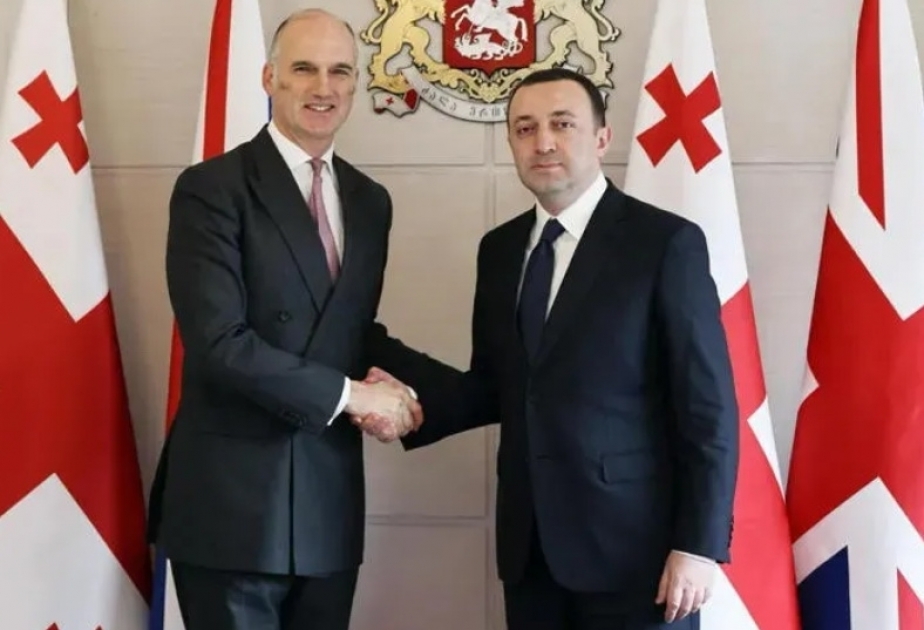 Georgian PM, British official review cooperation, EU integration, security matters