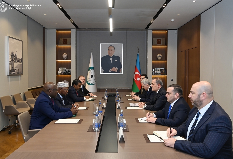 Azerbaijani FM informs OIC Secretary General about current situation in the region