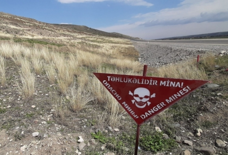 Hərbi-siyasi ekspert: Beynəlxalq birlik mina terroruna qarşı mübarizədə Azərbaycana dəstək verməlidir