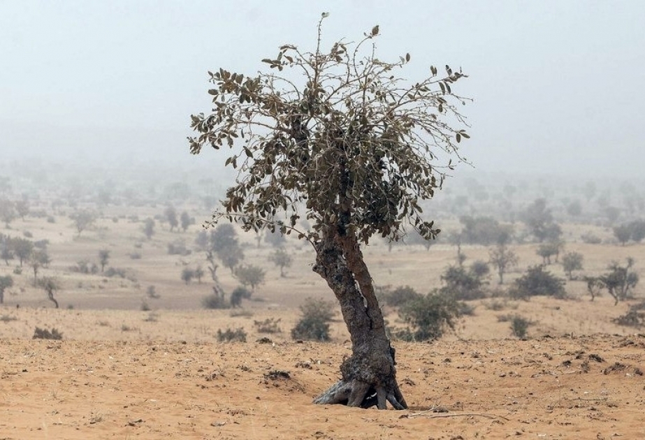 La fréquence des tempêtes de sable et de poussière augmente dans de nombreuses régions du monde