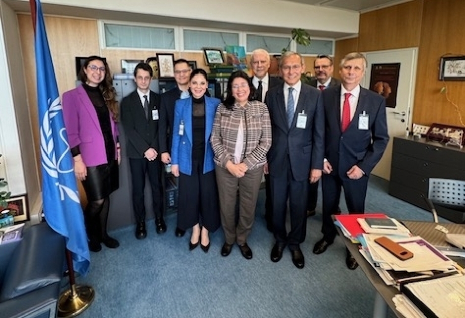 Vienna hosts high-level meeting of Nizami Ganjavi International Center on importance of Middle Corridor