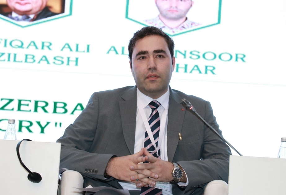 Əli Mənsur Əfşar: Qızılbaş icması əsrlər boyu əfqan cəmiyyətində də mühüm rol oynayıb