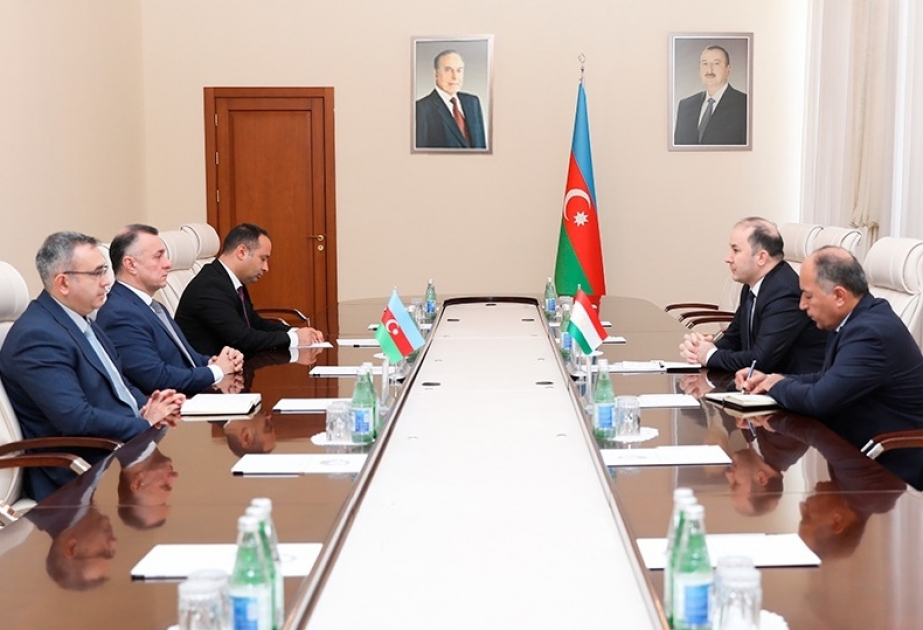 Azərbaycan ilə Tacikistan arasında səhiyyə və tibb elmi sahəsində əməkdaşlığın genişləndirilməsi məsələləri müzakirə olunub
