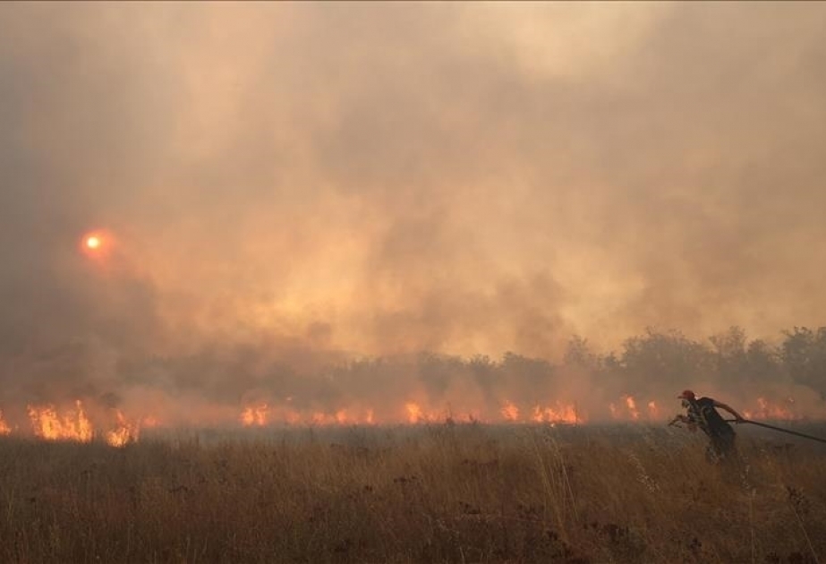 La OMS pide medidas "urgentes" sobre clima y salud en la COP28