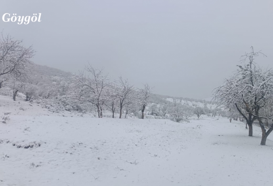 Ölkə ərazisində hava şəraiti arabir yağıntılı olub, bəzi dağlıq və dağətəyi rayonlarda qar yağıb