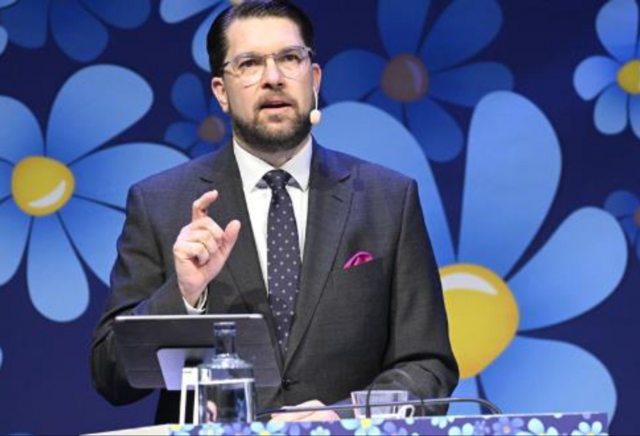 Лидер ультраправой партии Швеции призвал к сносу мечетей