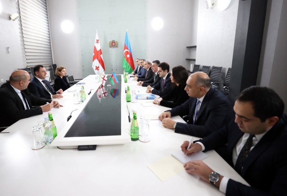 Обсуждено сотрудничество Азербайджана и Грузии в сфере науки и образования
