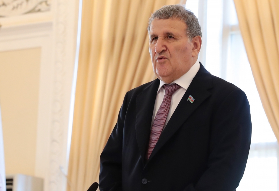 İsa Həbibbəyli: AMEA-nın bir sıra institutlarında şöbələr ləğv edilib