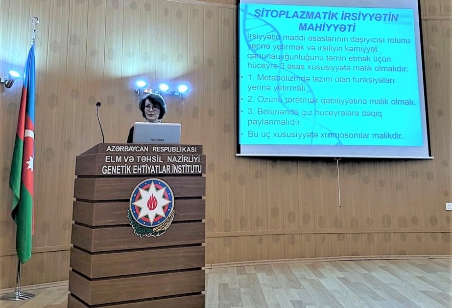 BDU-nun “SABAH” qruplarının tələbələri Genetik Ehtiyatlar İnstitutunda