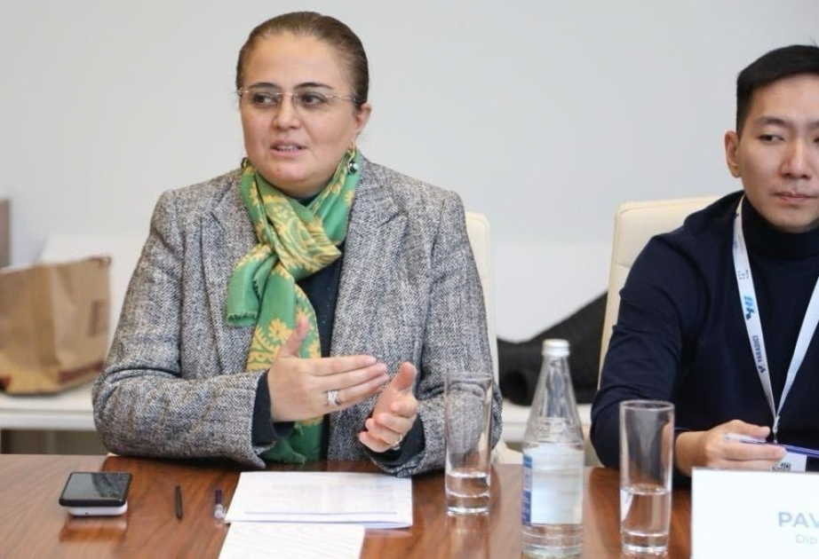 Azerbaijan Animation Association discuss establishment of "Turkish Animation Network"