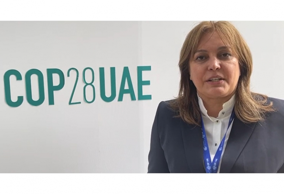 Azerbaijani delegation attends COP28 conference in Dubai - deputy minister
