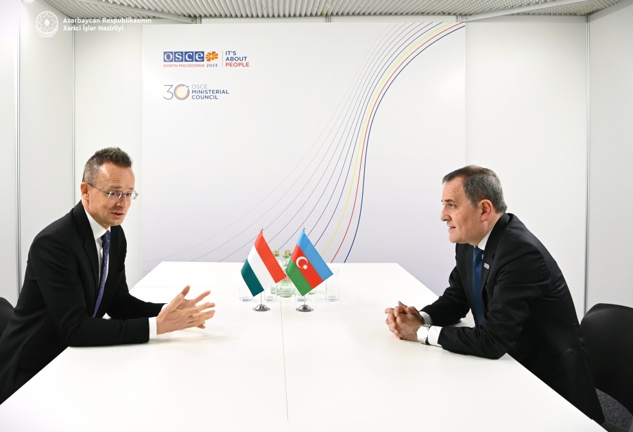 阿塞拜疆外长会见匈牙利同仁