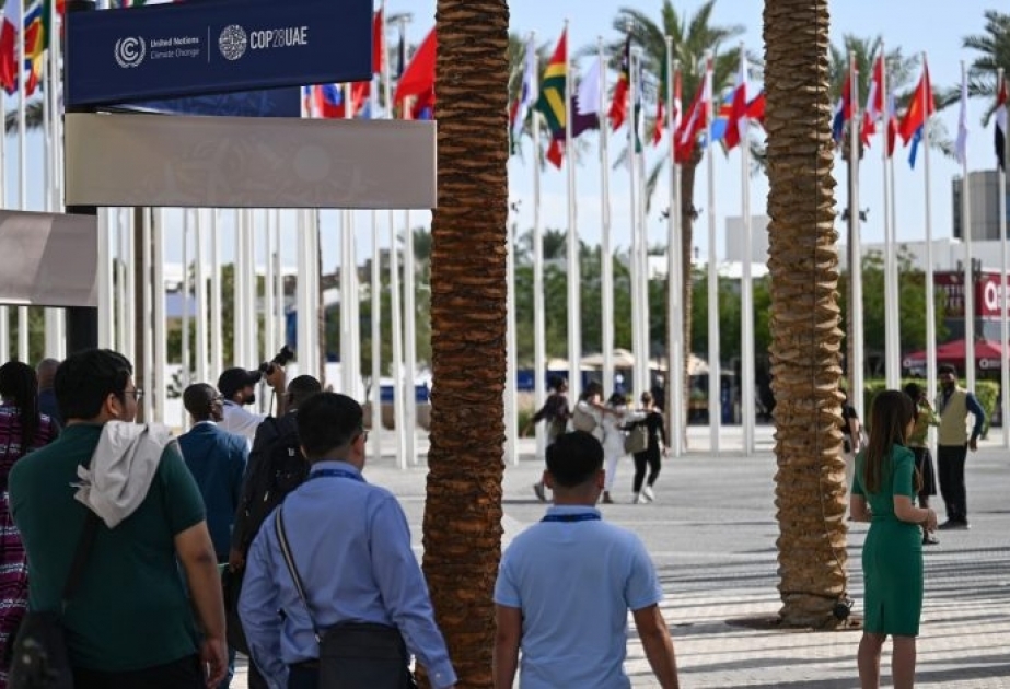 Les activités de la COP28 démarrent aujourd’hui à Dubaï