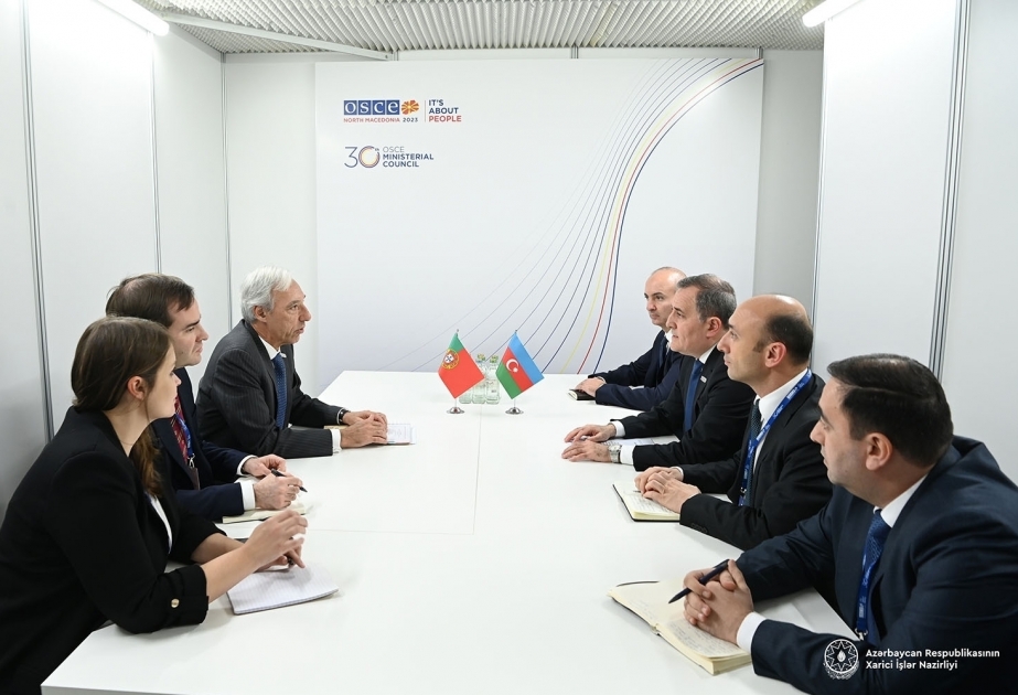 Португальские компании приглашены к участию в проектах возобновляемой энергии в Азербайджане