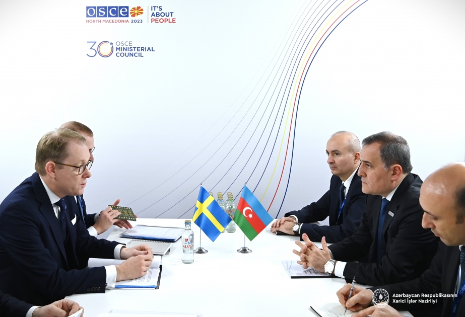 Canciller de Azerbaiyán:"La campaña de desprestigio de Armenia no sirve a la paz"