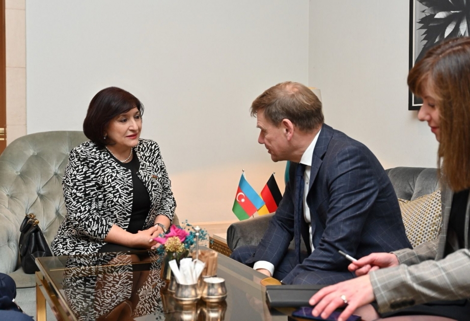 Azerbaijan, Germany discuss development of interparliamentary ties