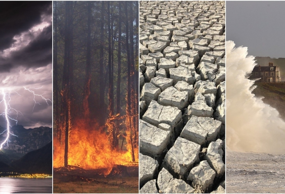 El clima en 2023: Nuevos récords con graves consecuencias para la naturaleza y el ser humano
