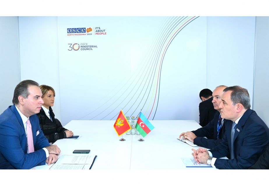 Глава МИД Монтенегро: Мы заинтересованы в использовании имеющегося потенциала в развитии отношений с Азербайджаном