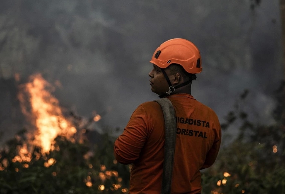 Бразильская Амазония вследствие исторической засухи зафиксировала рекордное число пожаров