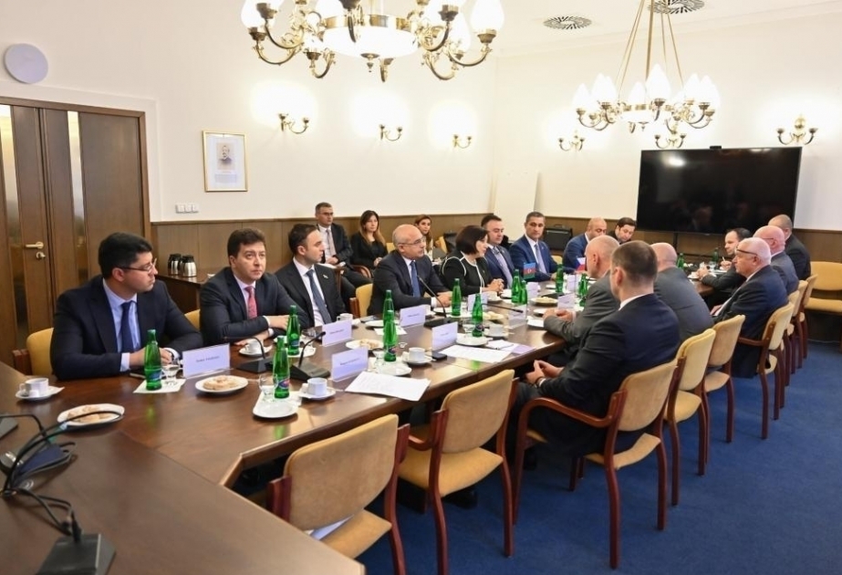 Чешские парламентарии проинформированы о мирных инициативах Азербайджана