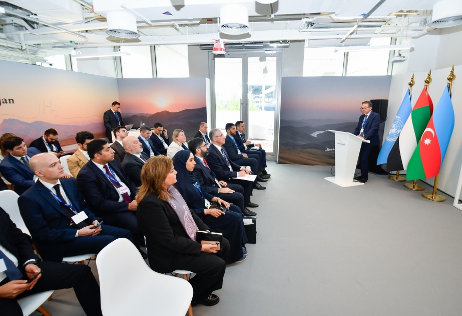 COP28 çərçivəsində Qarabağın və Şərqi Zəngəzurun “yaşıl enerji” potensialı ilə bağlı təqdimat olub YENİLƏNİB