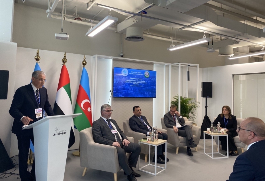 В рамках COP28 прошло мероприятие, посвященное минной проблеме в нашей стране