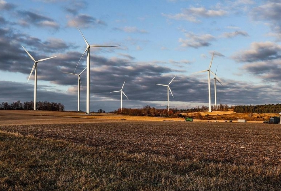 COP28 çərçivəsində “yaşıl” energetika üçün vacib olan faydalı qazıntıların idarə edilməsi üzrə komissiya yaradılıb