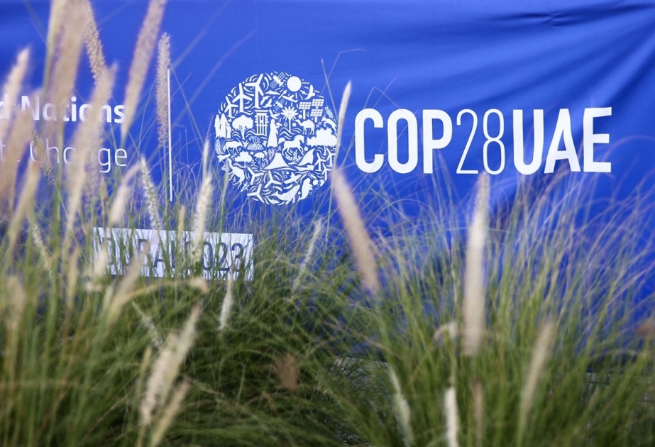 COP28: “La crisis climática es también una crisis sanitaria”